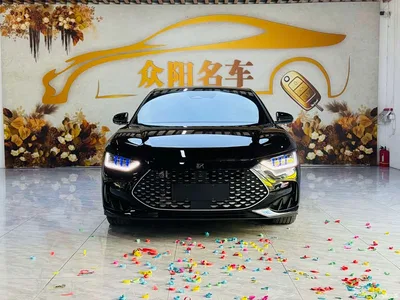 2023 BYD Han DM-i Champion Edition 121KM Premium, фото 2, лот 10246238