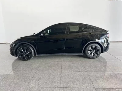 2024 Tesla Model Y Rear-Wheel Drive Version, фото 3, лот 10443702