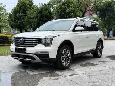 2017 GAC Trumpchi Trumpchi GS8 320T 2WD Luxury Smart Connect (7-seater), фото 1, лот 10613259