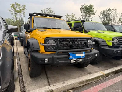 2022 Tank 300 2.0T Border Limited Edition, фото 3, лот 10345039