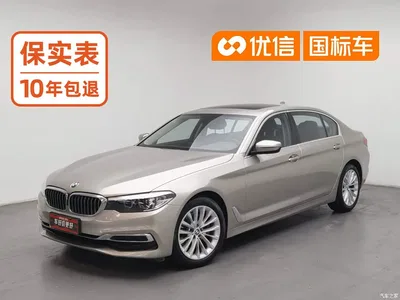 2020 BMW 5 Series 525Li Luxury Package, фото 1, лот 10444081