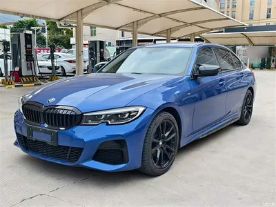 2020 BMW 3 Series 320Li M Sport Package, фото 1, лот 10458024