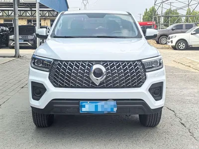 2023 Great Wall Pao 2.0T Commercial Auto Gasoline 2WD Elite Long Box GW4C20B, фото 2, лот 10408016