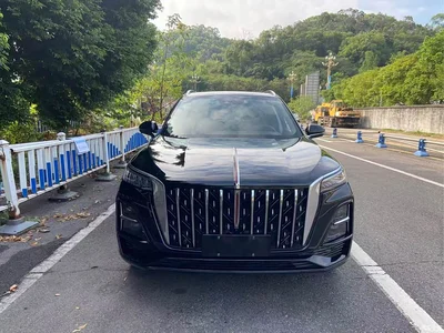 2023 Hongqi HS5 2.0T Flag Enjoy Pro Edition, фото 2, лот 10286978