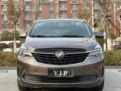 2021 Buick GL8 Land Business Class 652T Premium, фото 2, лот 10256441