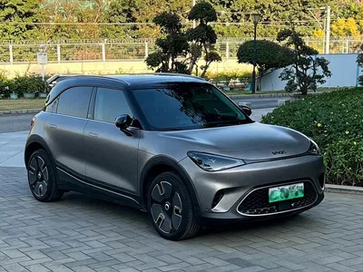2022 smart Elf #1 Premium Edition, фото 3, лот 10344553