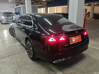 2024 Mercedes-Benz E-Class Model E 300 L Luxury, фото 3, лот 10478574