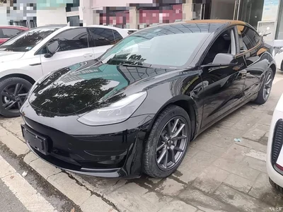 2022 Tesla Model 3 Model Rear-Wheel Drive Version, фото 1, лот 10894135