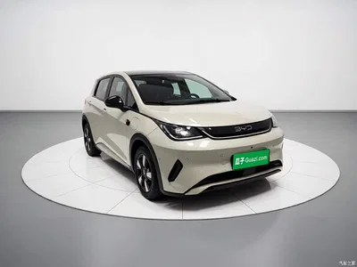 2025 BYD Dolphin Smart Drive Edition 410km Fashion Version, фото 4, лот 10260503