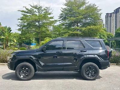 2024 Tank 400 New Energy Hi4-T Off-Road Edition, фото 3, лот 10344345