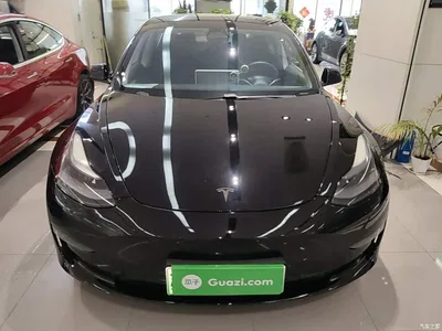 2021 Tesla Model 3 Performance High-Performance All-Wheel Drive, фото 3, лот 10369589