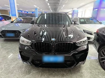 2021 BMW X3 xDrive30i Leading M Sport Package, фото 3, лот 11189033