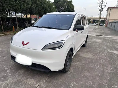 2024 Wuling Motors Wuling Hongguang New Energy Pure Electric 300KM Standard, фото 1, лот 11167182