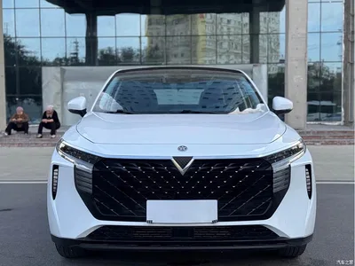 2022 Venucia Big V 260T Dark Horse Edition·Idol, фото 2, лот 11146532