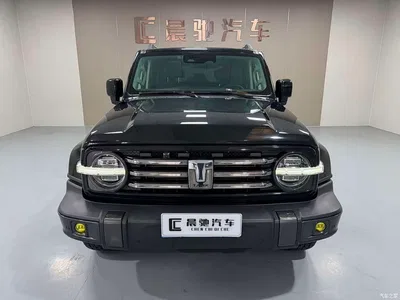 2021 Tank 300 Urban Edition 2.0T Stylish, фото 2, лот 10344332