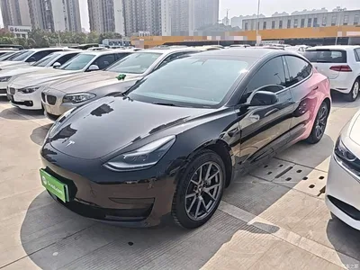 2021 Tesla Model 3 Facelift Standard Range RWD Upgrade 3D1, фото 1, лот 11188742