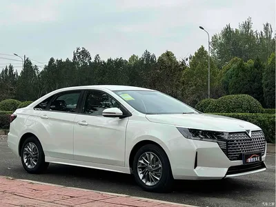 2023 Venucia D60 PLUS 1.6L XE CVT Trend Leader Edition, фото 3, лот 11148534