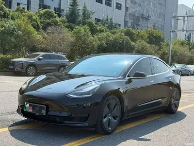 2020 Tesla Model 3 Standard Range Rear-Wheel Drive Upgrade, фото 1, лот 10352761