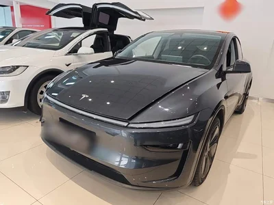 2025 Tesla Model Y Rear-Wheel Drive, фото 1, лот 11096570