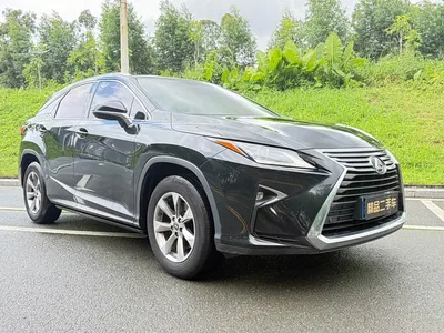 2016 Lexus RX 300 2WD Comfort Edition China VI, фото 3, лот 10442727