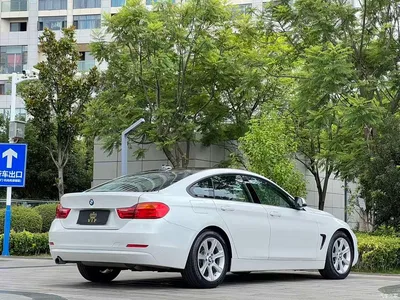 2014 BMW 4 Series 420i Gran Coupe Fashion Edition, фото 4, лот 10431546