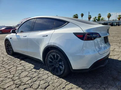 2023 TESLA MODEL Y, фото 2, лот 10855300