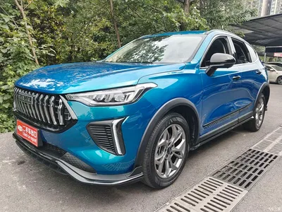 2022 Haval Chitu Power Edition 1.5T Purple Copper Rabbit, фото 1, лот 10281490