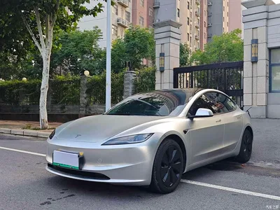 2025 Tesla Model 3 Model Rear-Wheel Drive Edition, фото 1, лот 10369120