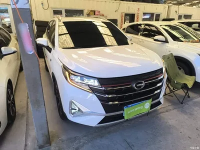 2021 GAC Trumpchi Trumpchi GS3 POWER 270T Auto Enjoy Edition, фото 4, лот 10421567