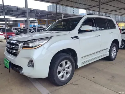 2020 Haval H9 2.0T Gasoline 4WD Elite 5-Seater, фото 1, лот 11179285