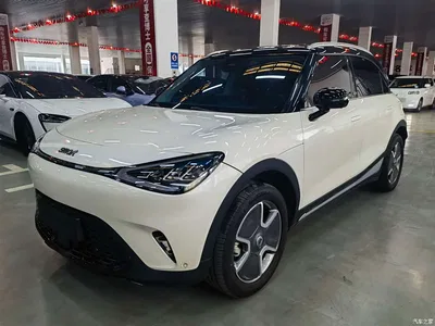 2022 smart Elf #1 Pro+ Edition, фото 1, лот 10342981