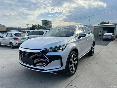 2024 BYD Tang New Energy Model DM-i Glory Edition 112KM Flagship Type, фото 1, лот 10273149