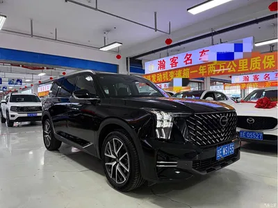 2024 GAC Trumpchi Trumpchi GS8 Navigator Series 2.0TGDI 2WD Luxury Smart Connect Edition, фото 3, лот 10420097