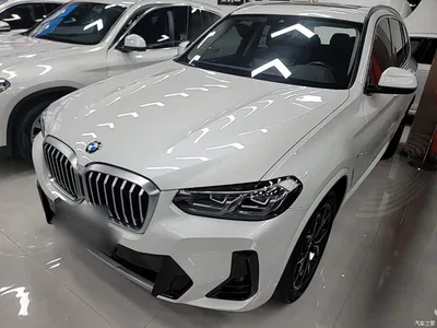 2022 BMW X3 xDrive25i M Sport Package, фото 2, лот 11182309