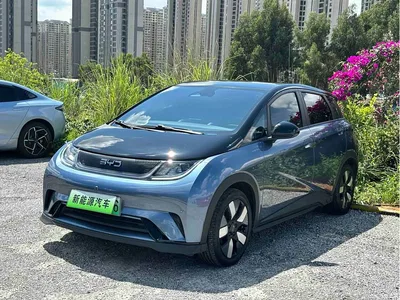2024 BYD Dolphin Glory Edition 401km Knight Edition, фото 1, лот 10252469
