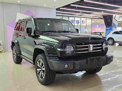 2021 Tank 300 Urban Edition 2.0T Stylish, фото 3, лот 10350787