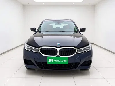 2020 BMW 3 Series 320Li M Sport Package, фото 2, лот 11197774