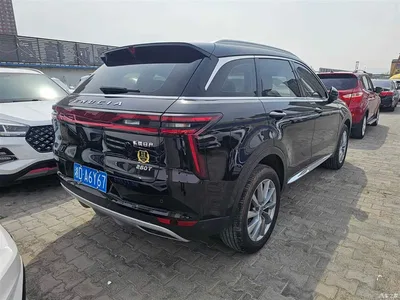2023 Venucia Star 260T Star Wish Edition Pro, фото 4, лот 11153659