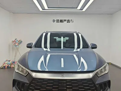 2023 BYD Song Pro New Energy Champion Edition DM-i 71KM Leading Type, фото 2, лот 10674636