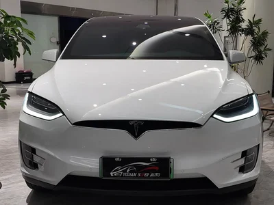 2019 Tesla Model X Long Range Version, фото 3, лот 10346508