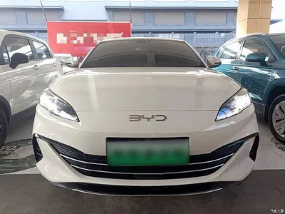 2024 BYD Seal 06 New Energy DM-i 80KM Prestige, фото 3, лот 10272706