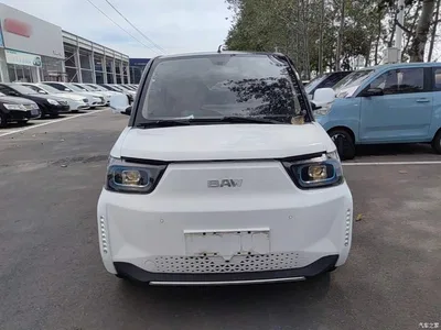 2022 Baw Yuanbao Smart Cute Edition, фото 3, лот 10600265
