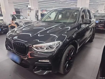 2018 BMW X3 xDrive30i Leading M Sport Package China VI, фото 1, лот 10387832