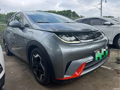 2021 BYD Dolphin Model 405km Fashion Edition, фото 3, лот 10254000
