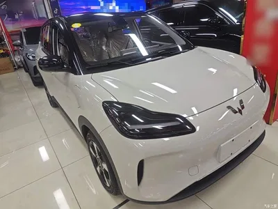 2024 Wuling Motors Wuling Binguo PLUS 401km Range 5-seater, фото 4, лот 10836135