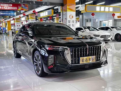 2024 Hongqi H9 2.0T Qi Enjoy Private Fashion Edition, фото 3, лот 10286531