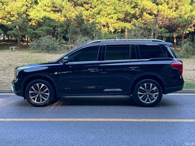 2019 GAC Trumpchi Trumpchi GS8 390T 2WD Luxury Smart Connect Edition (7-seater), фото 3, лот 10415268