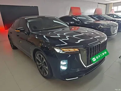2024 Hongqi H9 2.0T Qi Enjoy Private Fashion Edition, фото 4, лот 10289527