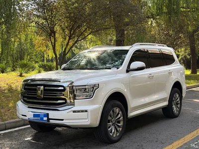 2022 Tank 500 3.0T Sport Edition Zaojing 5-Seater, фото 1, лот 10612218