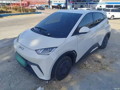 2024 BYD Seagull Glory Edition 305km Vitality Edition, фото 1, лот 11511618